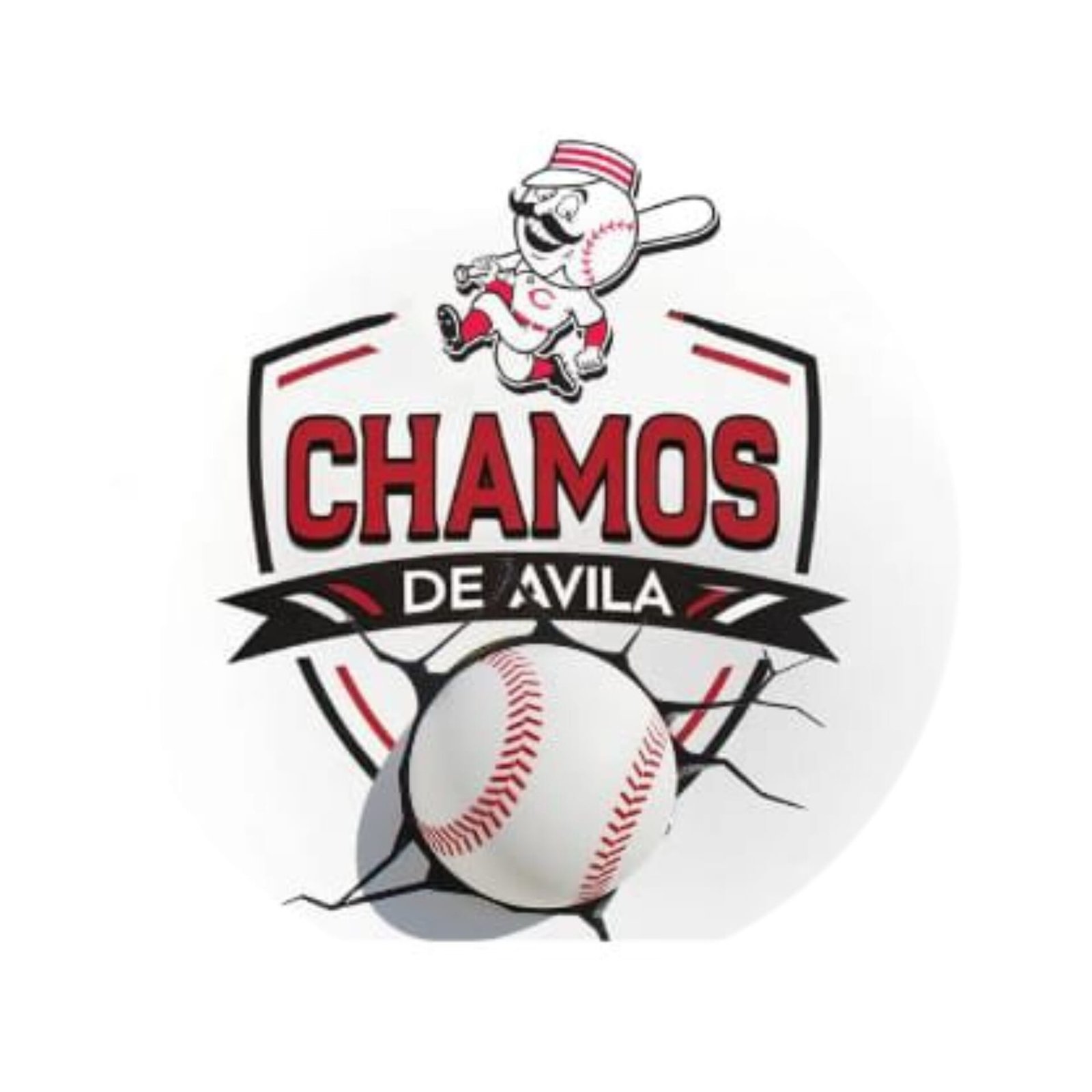 Logo Chamos de Avila